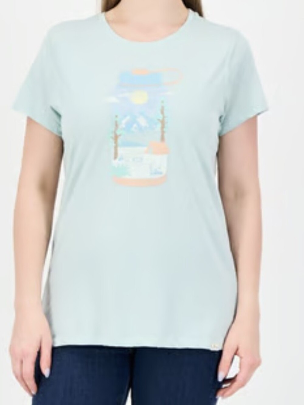 Mountain and Isles mint green crew neck t-shirt